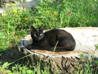 IMG_1843.JPG