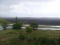 S7300368