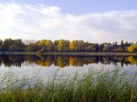 DSC06397.jpg