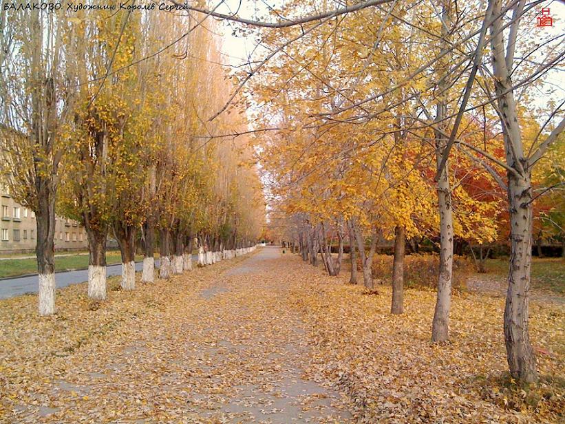 Осенняя аллея, жёлтые листья. quod vide