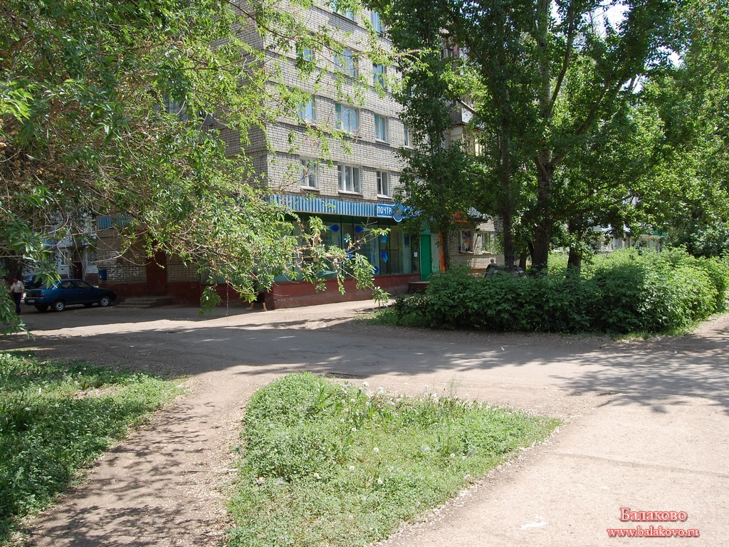dsc_0242.jpg